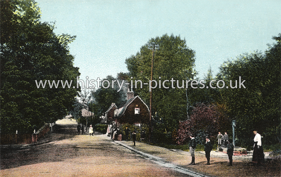 The Village, Prittlewell, Essex. c.1905